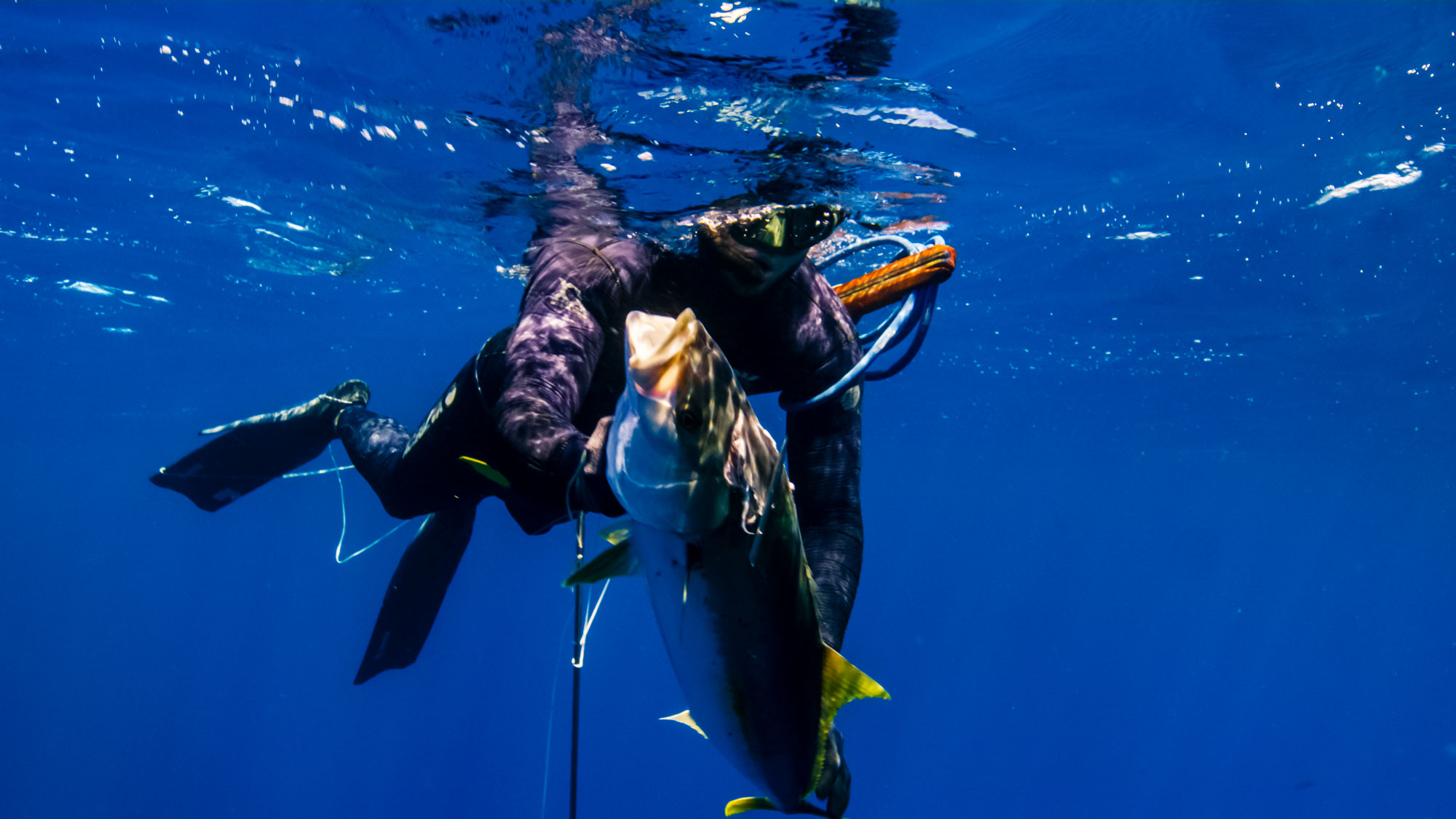 Spearfishing